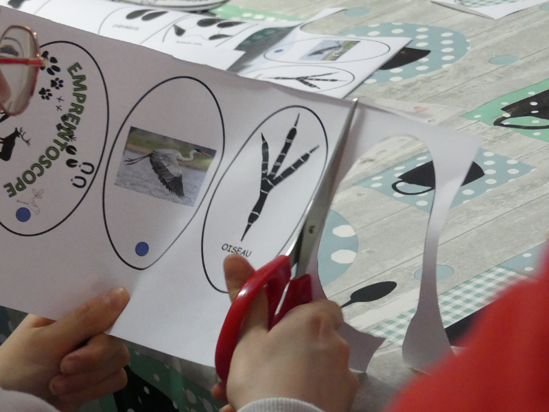 Création d'un empreintoscope à Terres d'Oiseaux, Braud-et-Saint-Louis - photo 9