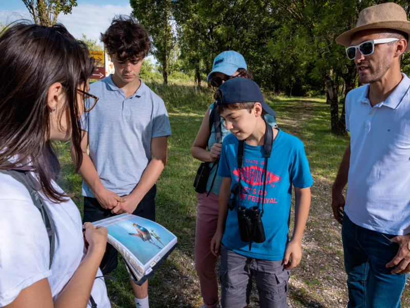 Samedi ornitho à Terres d'Oiseaux, Braud-et-Saint-Louis - photo 5