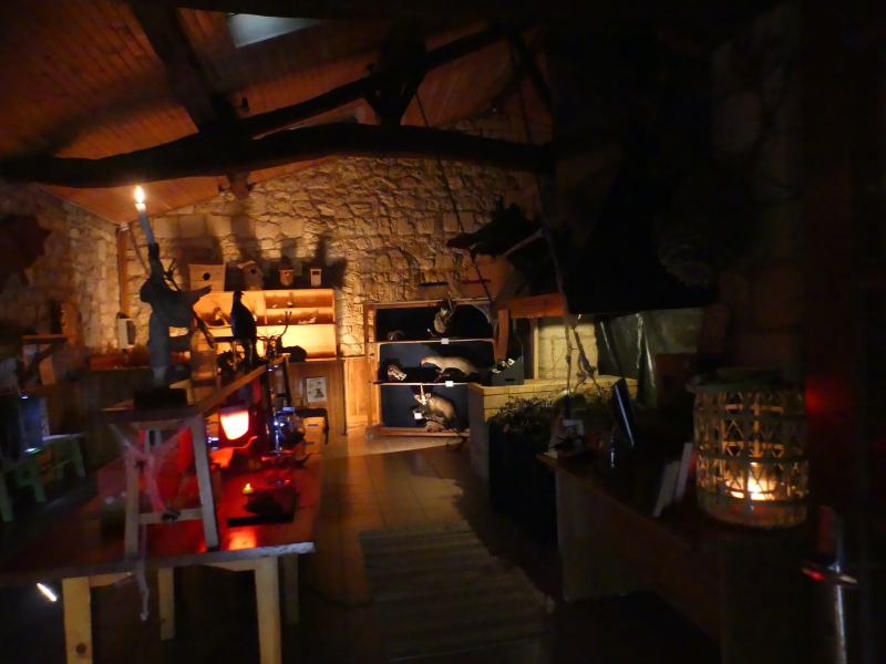 Grand jeu d'Halloween à Terres d'oiseaux, Braud-et-Saint-Louis