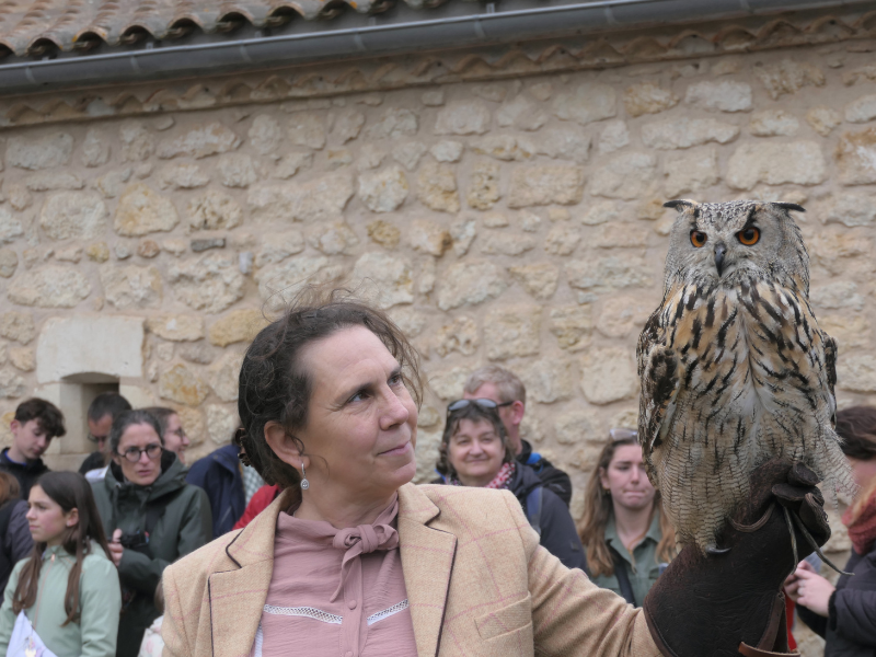 Fête des rapaces et "Spectacle de fauconnerie" à Terres d'Oiseaux, Braud-et-Saint-Louis - photo 4