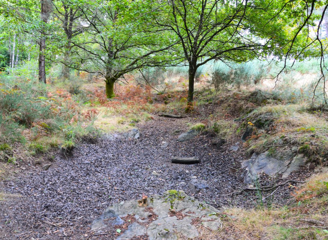 La Lande à serpentine de la Rousseille, Saint-Hilaire-les-Places - photo 4