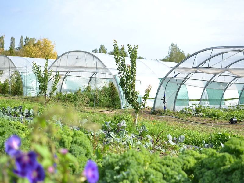 Ferme Deux Bouts — photo 3