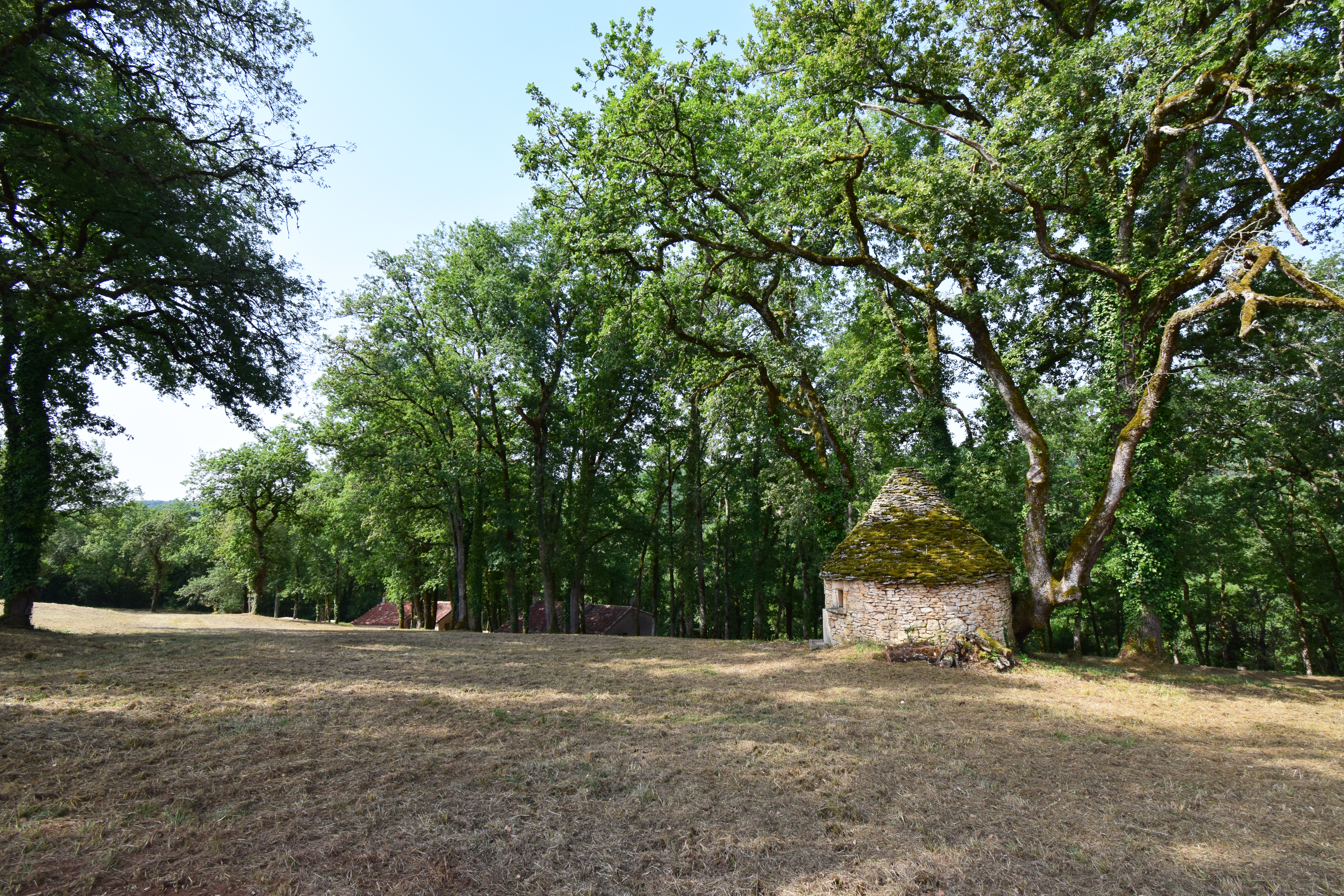 Les Résidences du Mayne - le Châtaignier