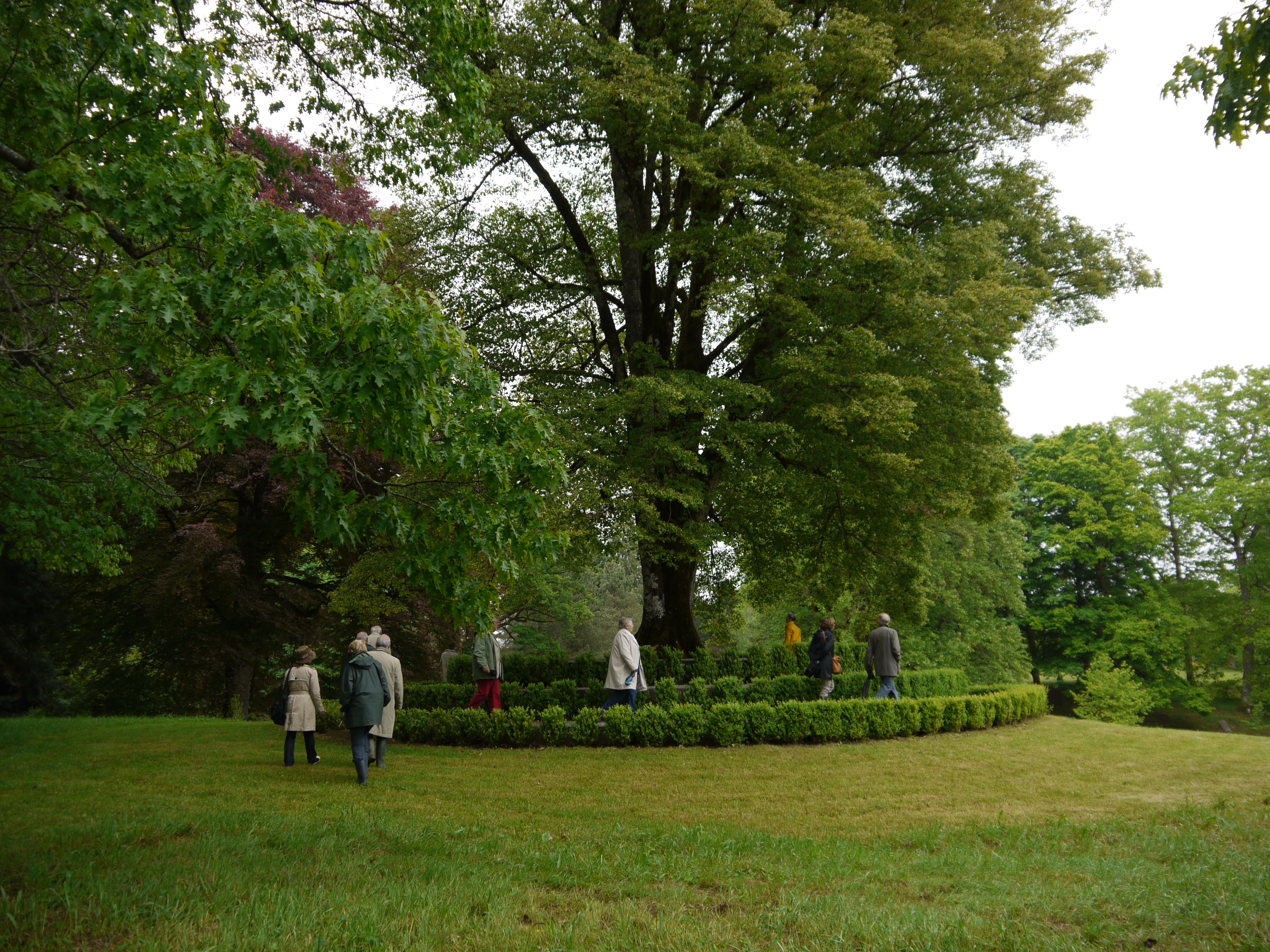 23ème Rendez-vous aux Jardins Arboretum du Château de Neuvic — visuel événement