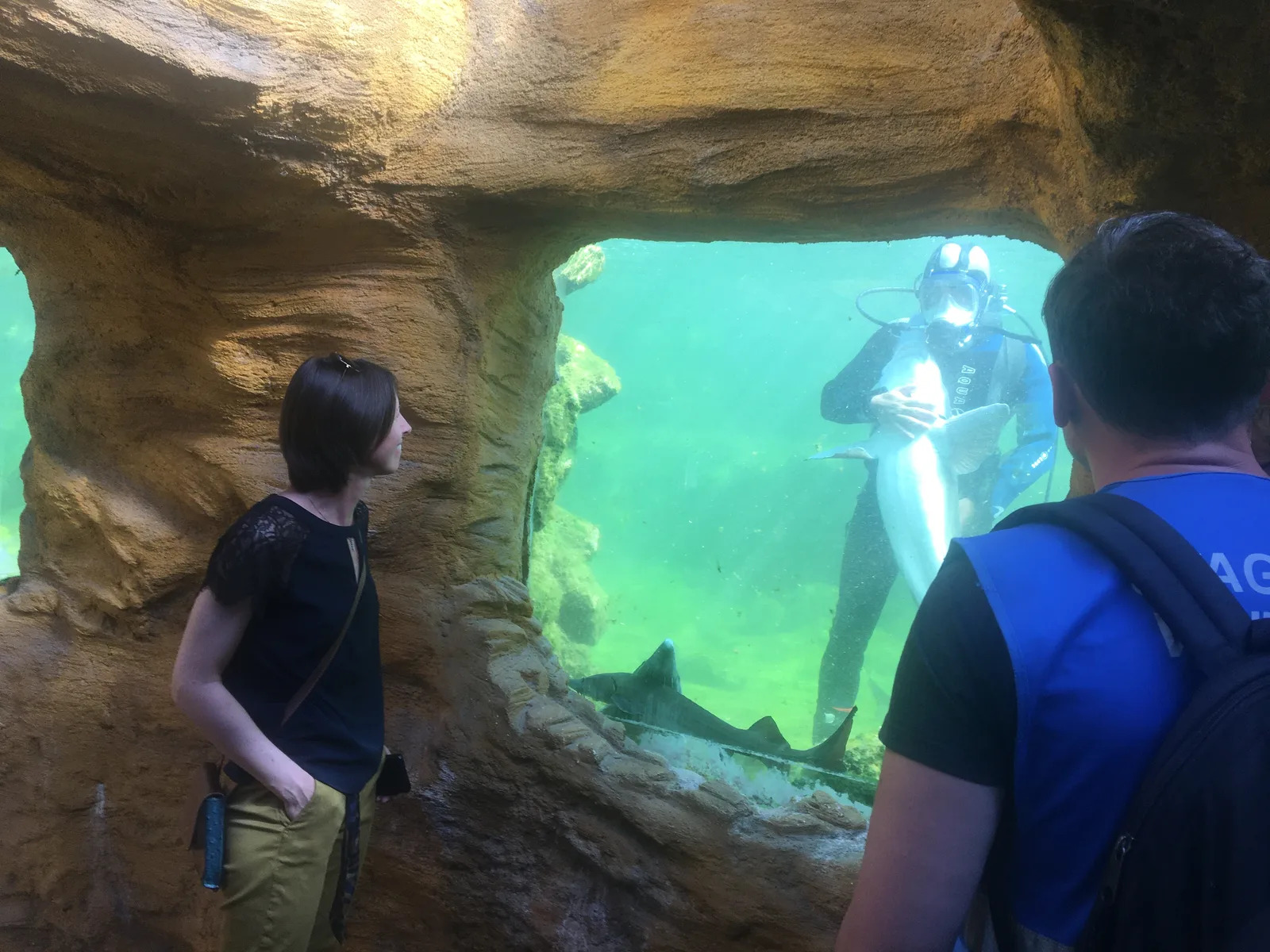 Aquarium du Périgord Noir - Univerland Le Bugue, Le Bugue - photo 9
