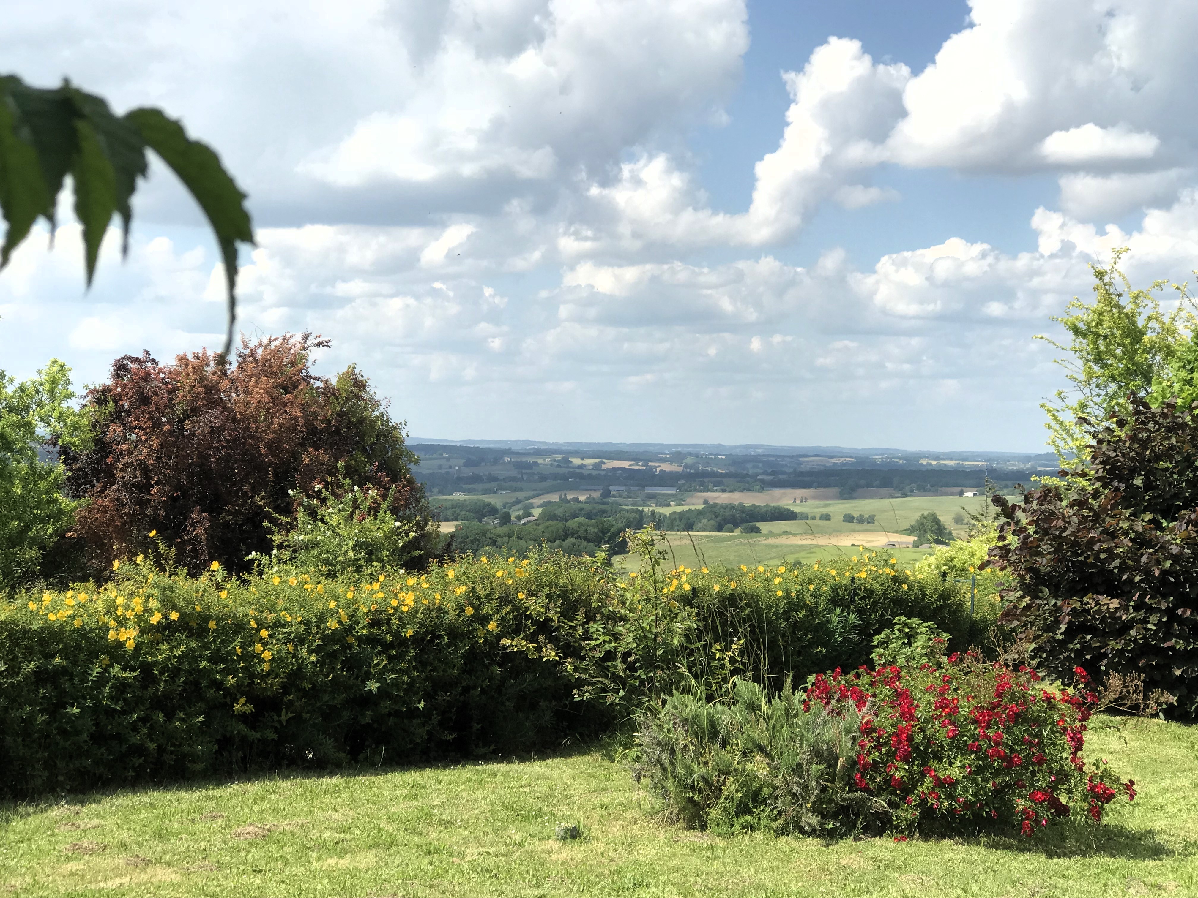 Le Clos des Mésanges, Montastruc - photo 17