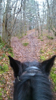 Boucle équestre du Château de la Chapoulie à Peyrignac