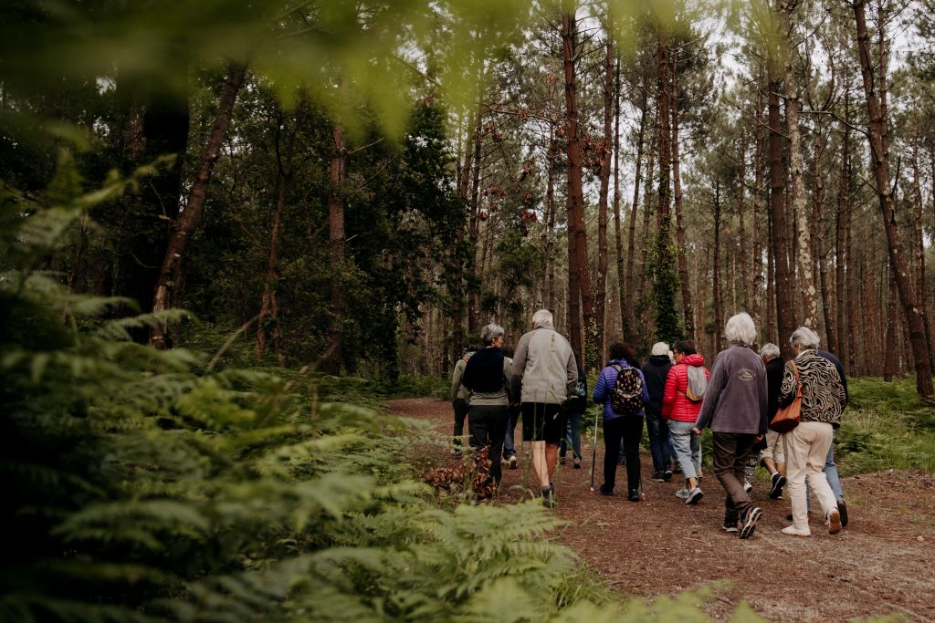Les bains de forêt de Terra-Atlaya