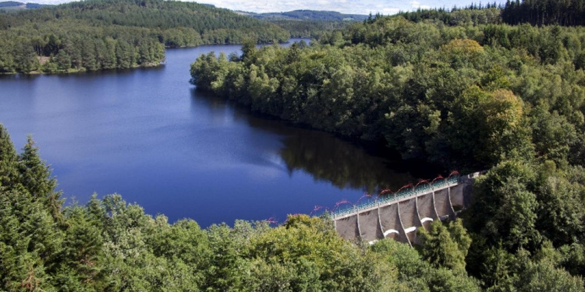 Hameau de gîtes - N°640 "Fougère" - photo 3