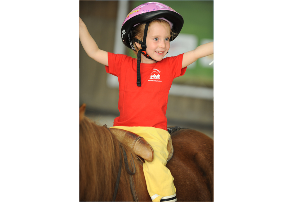 Club Hippique et Poney-Club de la Forêt de Moulière — photo 2