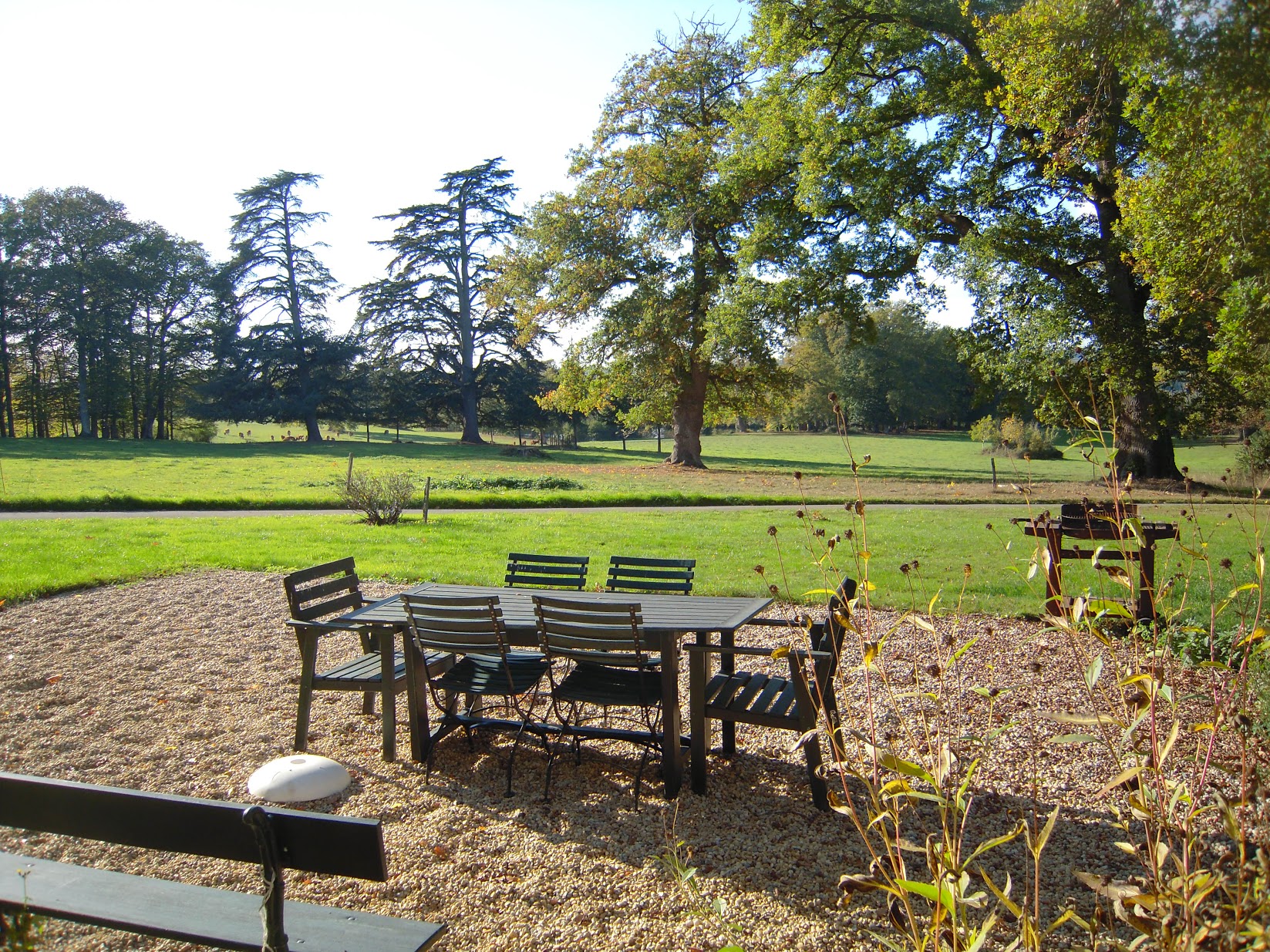 Gîte des glycines - Les Roches Blanches, Le Pin - photo 8
