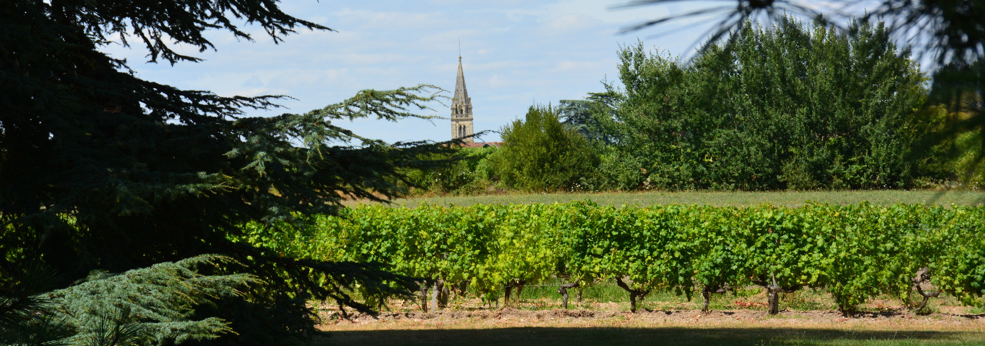 Château Haut Nouchet