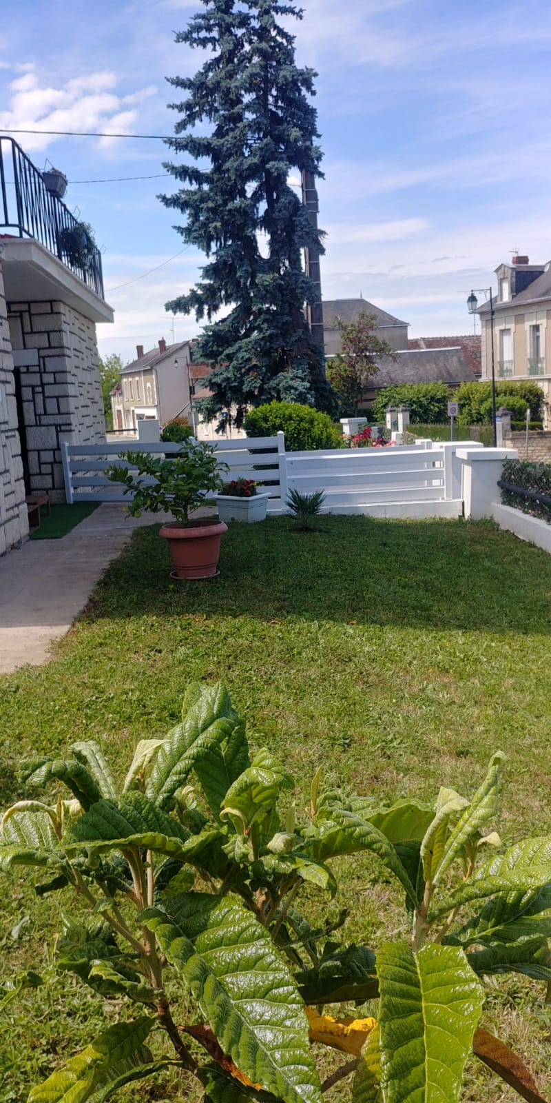 Monsieur et Madame SAVIGNY — photo 2