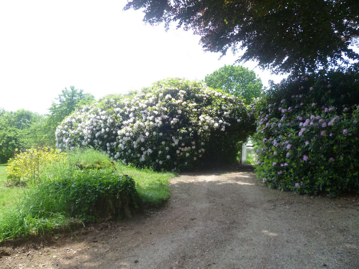 Le Mazet, Champnétery - photo 12