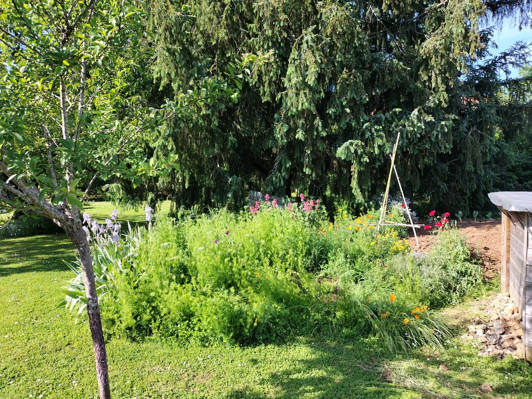 A l'Orée des Champs, La Crèche - photo 2