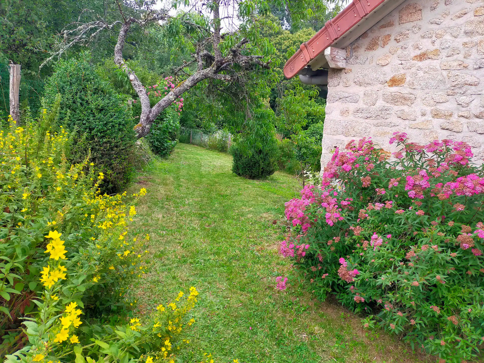 Meublé La Ribière, Saint-Goussaud - photo 3