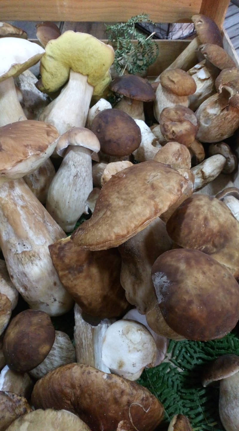 Au Relais du Terroir — photo 2