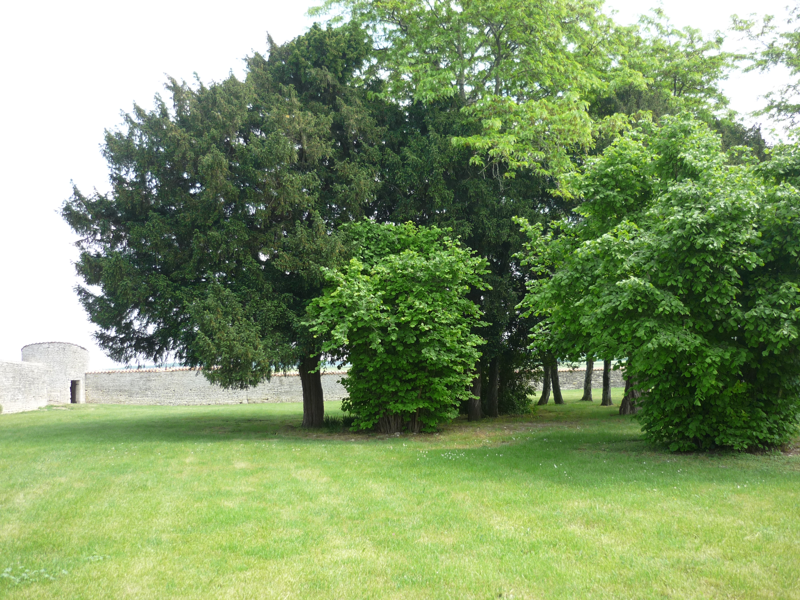 Prin-Deyrancon ou la Guerre des boutons, Prin-Deyrançon - photo 3