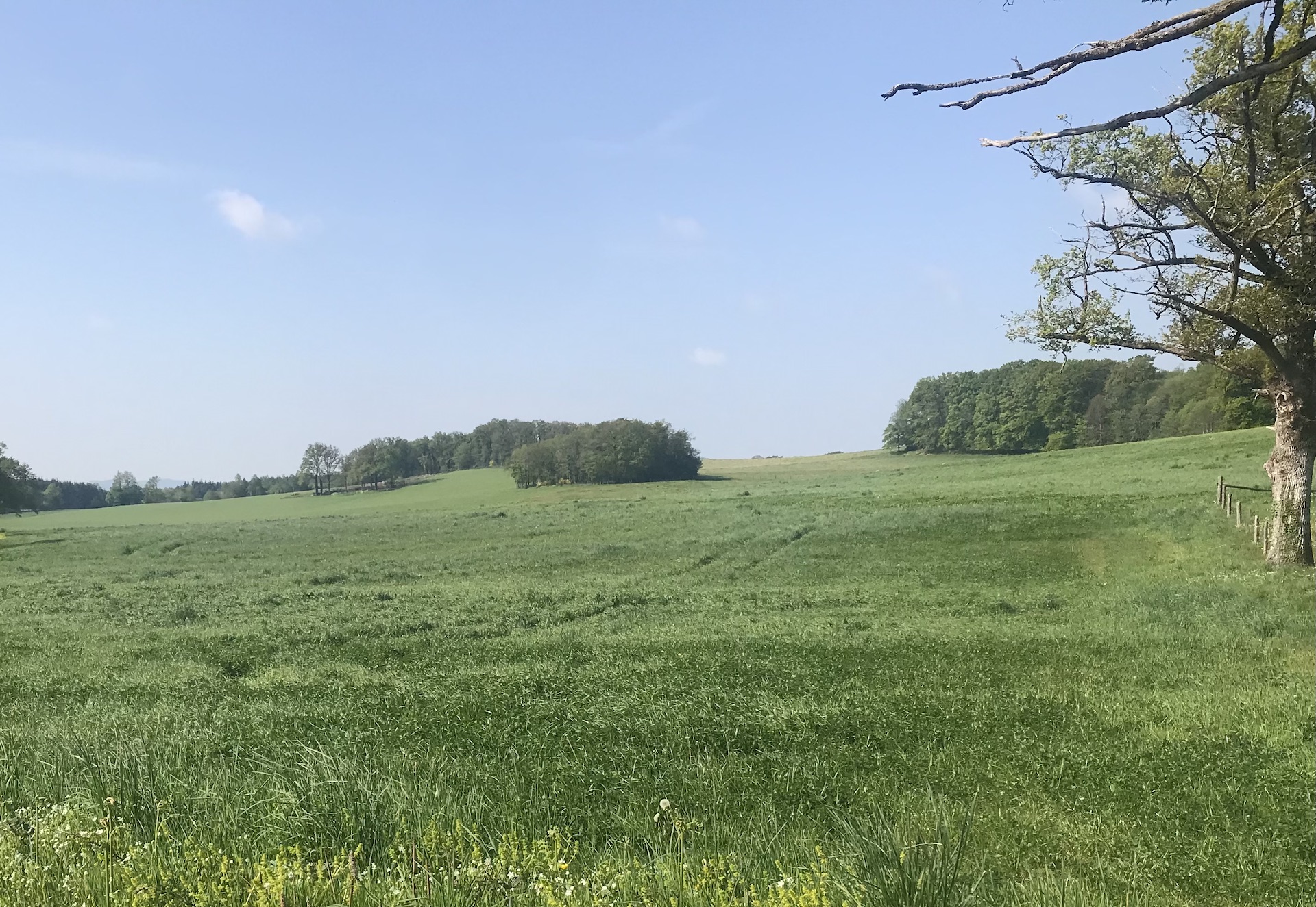 Circuit pédestre n°AU1 D'Aulon à Augères