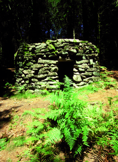 Circuit pédestre n°SG4 Le bois de Roche, Saint-Goussaud