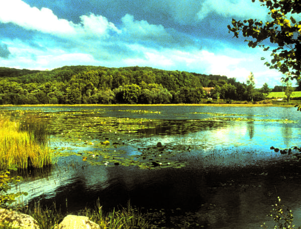 Circuit Pédestre N°B1 Le dolmen des granges