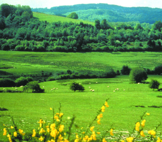 Circuit pédestre n° CM7 Le Puy de Roche Guette