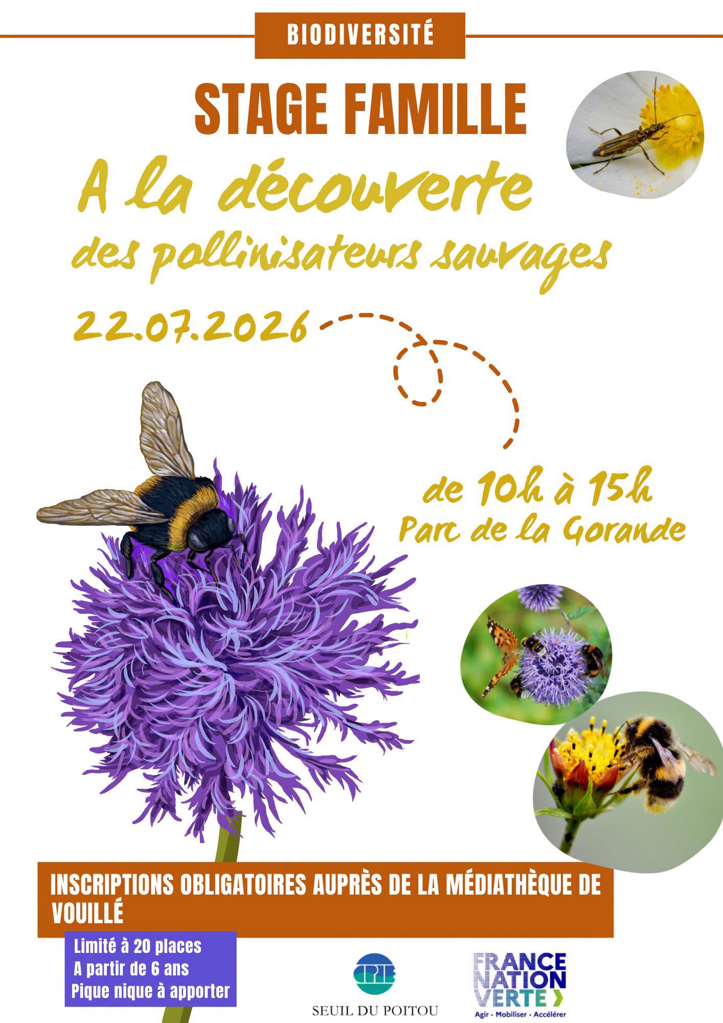 affiche stage famille