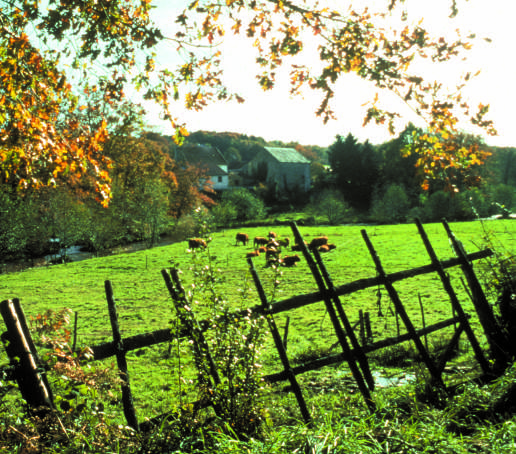 Circuit Pédestre n° GB1 Le Peu du Venant