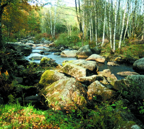 Circuit pédestre n°M03 Leychameau