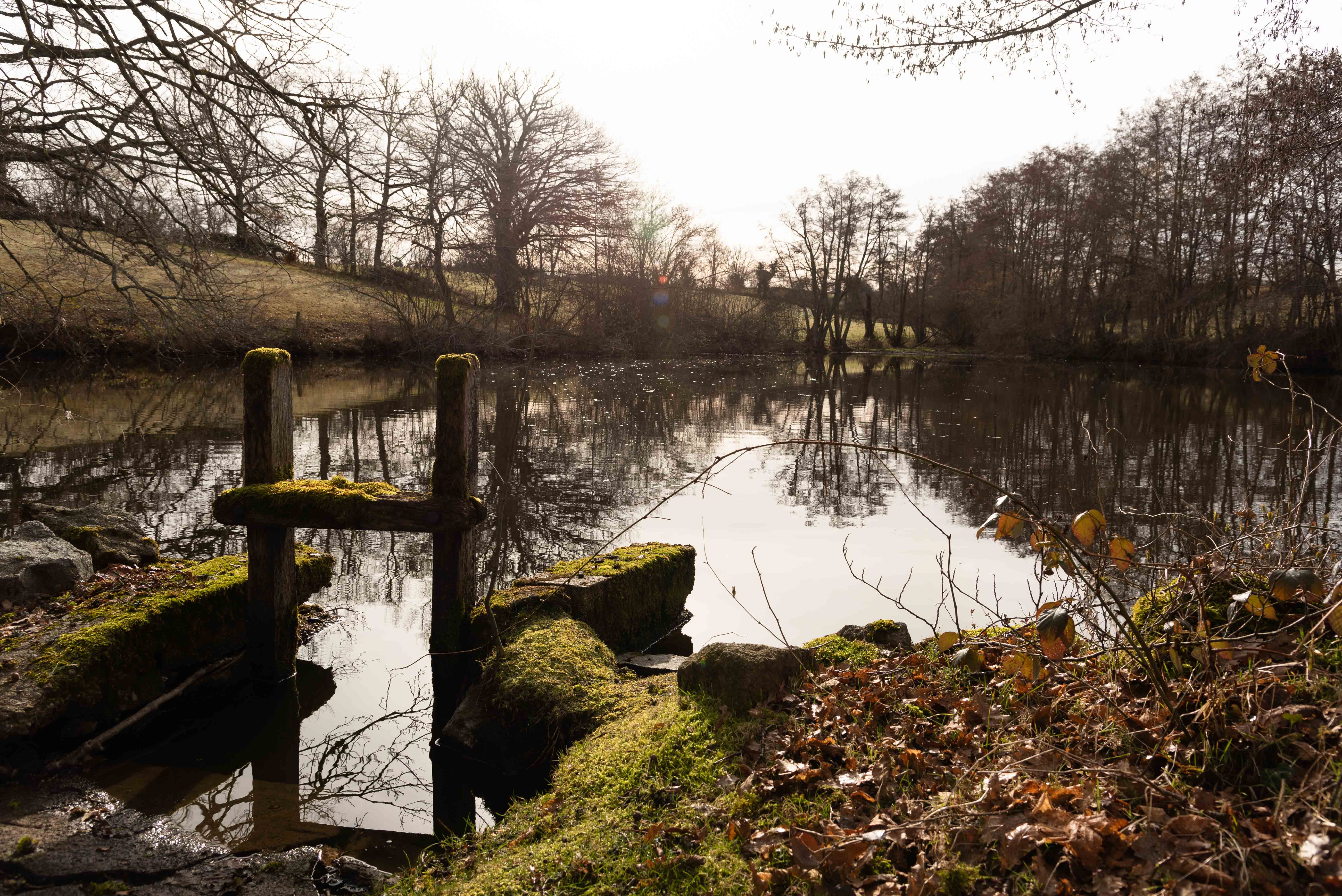 Etangs, châteaux et pâturages