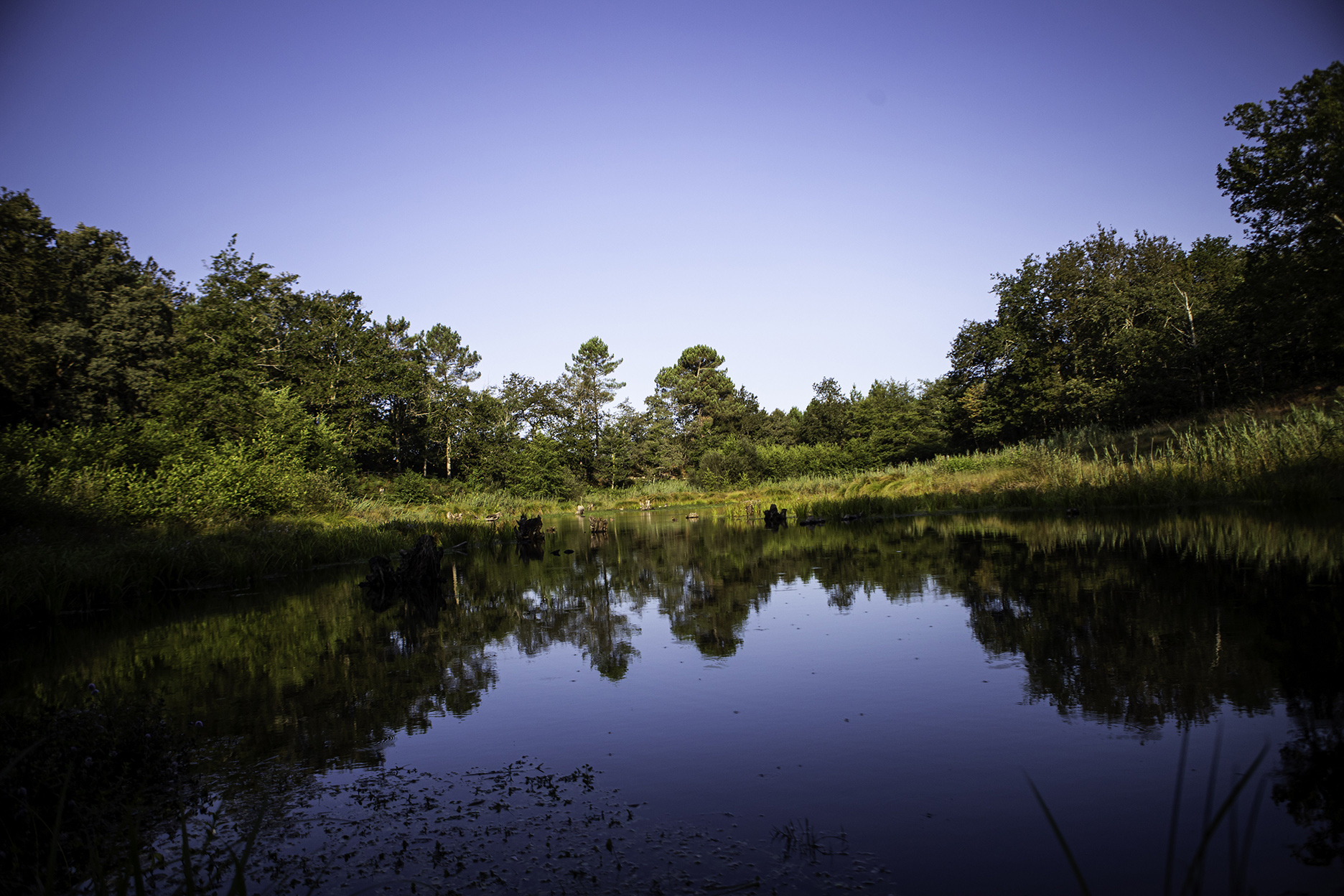 Centre de Biodiversité Jean Rostand