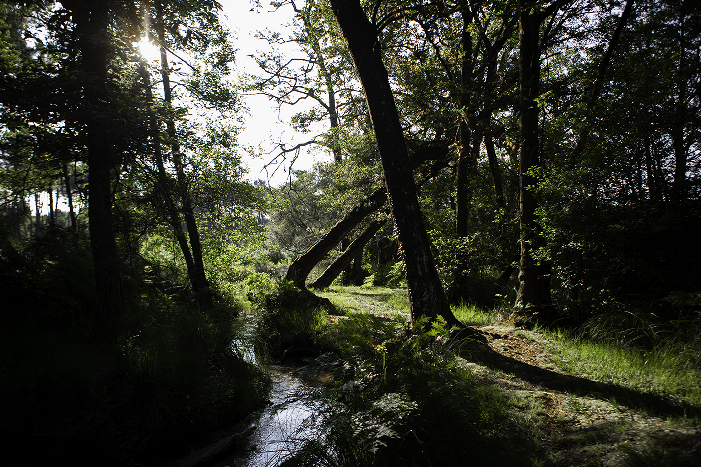Centre de Biodiversité Jean Rostand - photo 5
