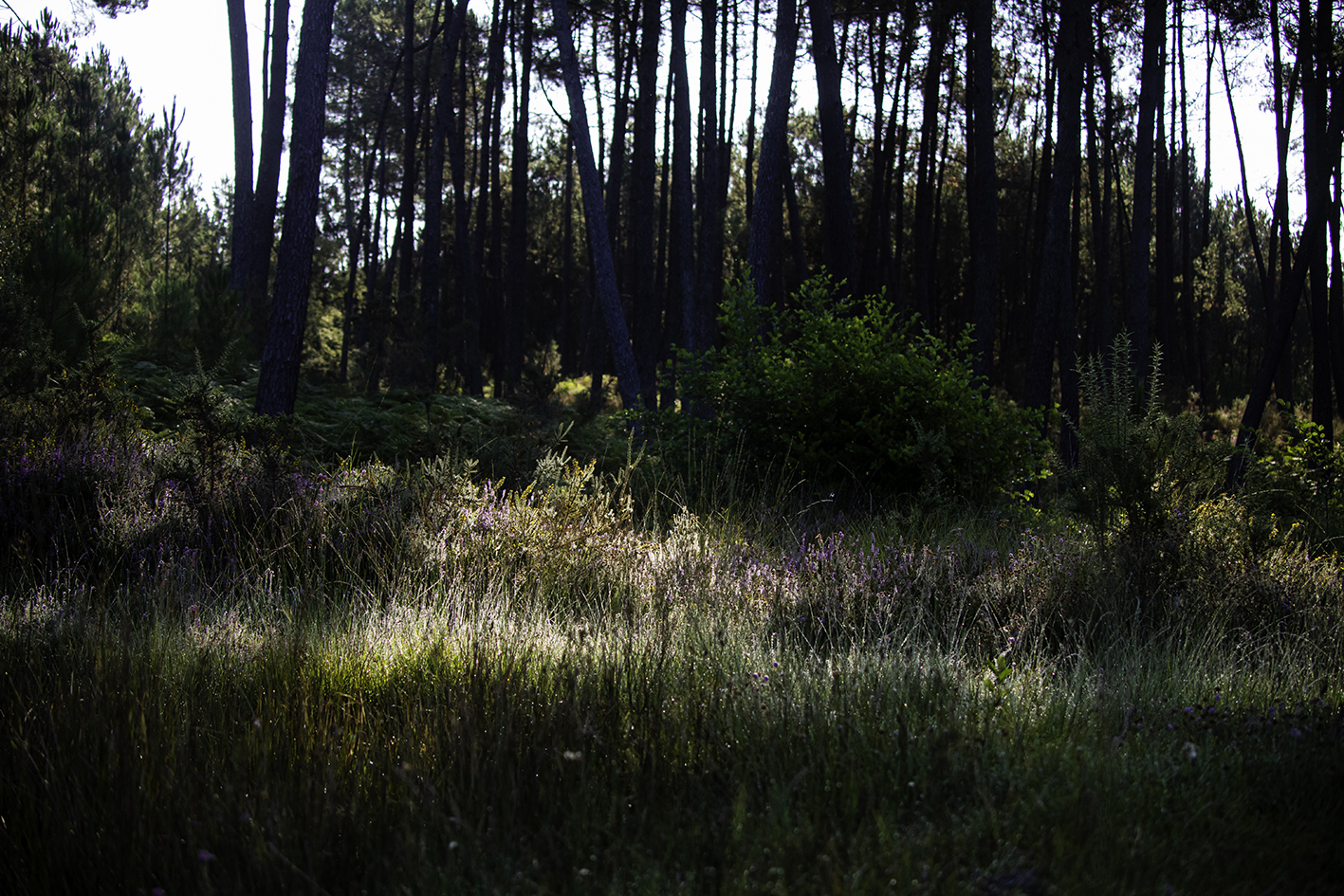Centre de Biodiversité Jean Rostand