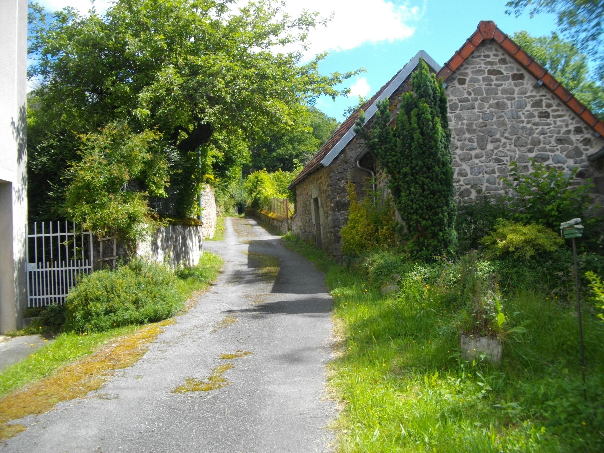 La Lande du Puy Raynaud - 13 km, Clairavaux - photo 2