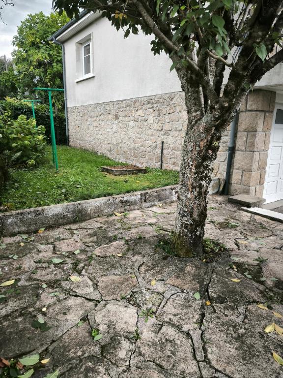 La Mathélie, Égletons - photo 8