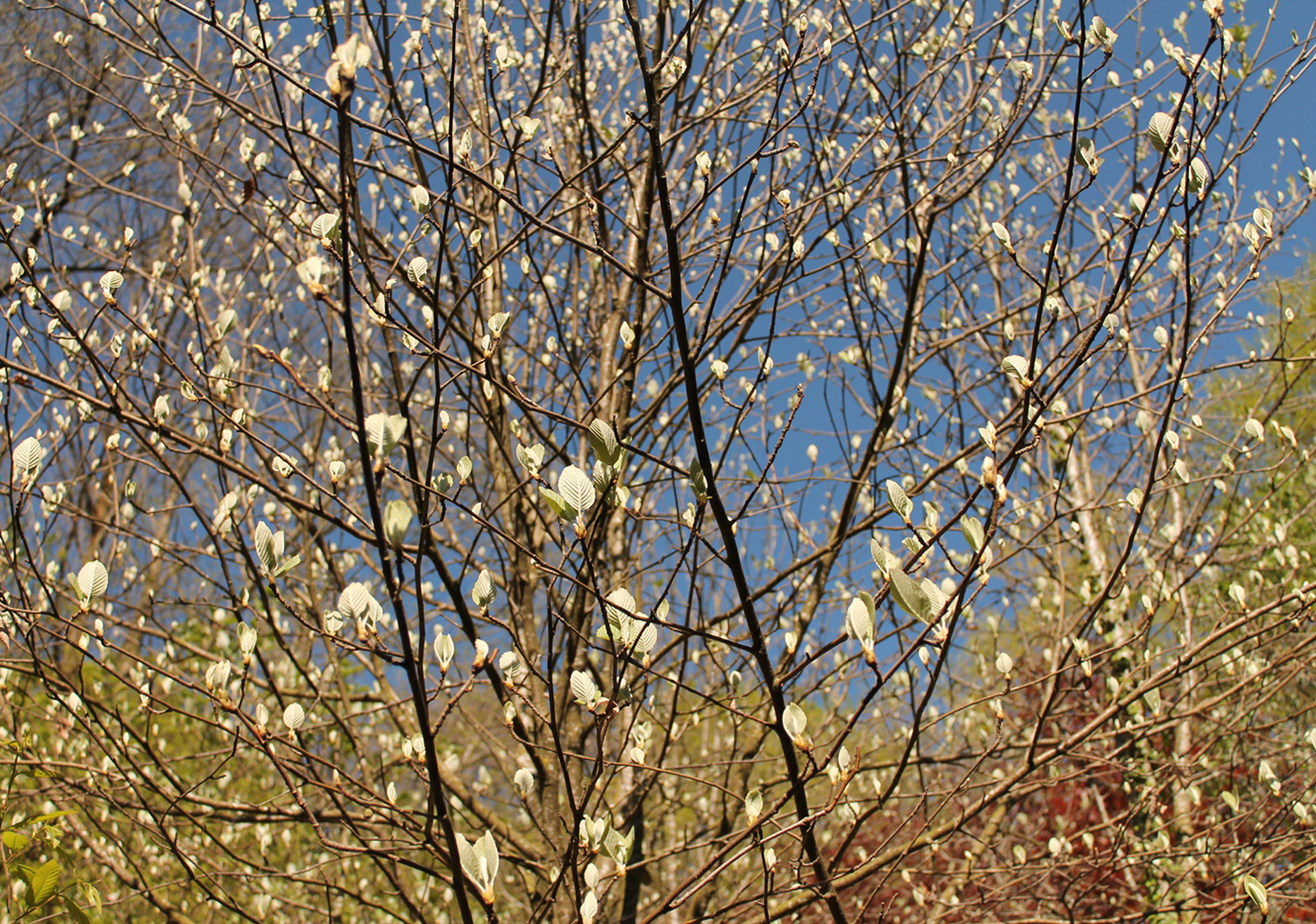 Circuit pédestre n°10 Le bois de la Fôt - rando bambin, Noth - photo 8