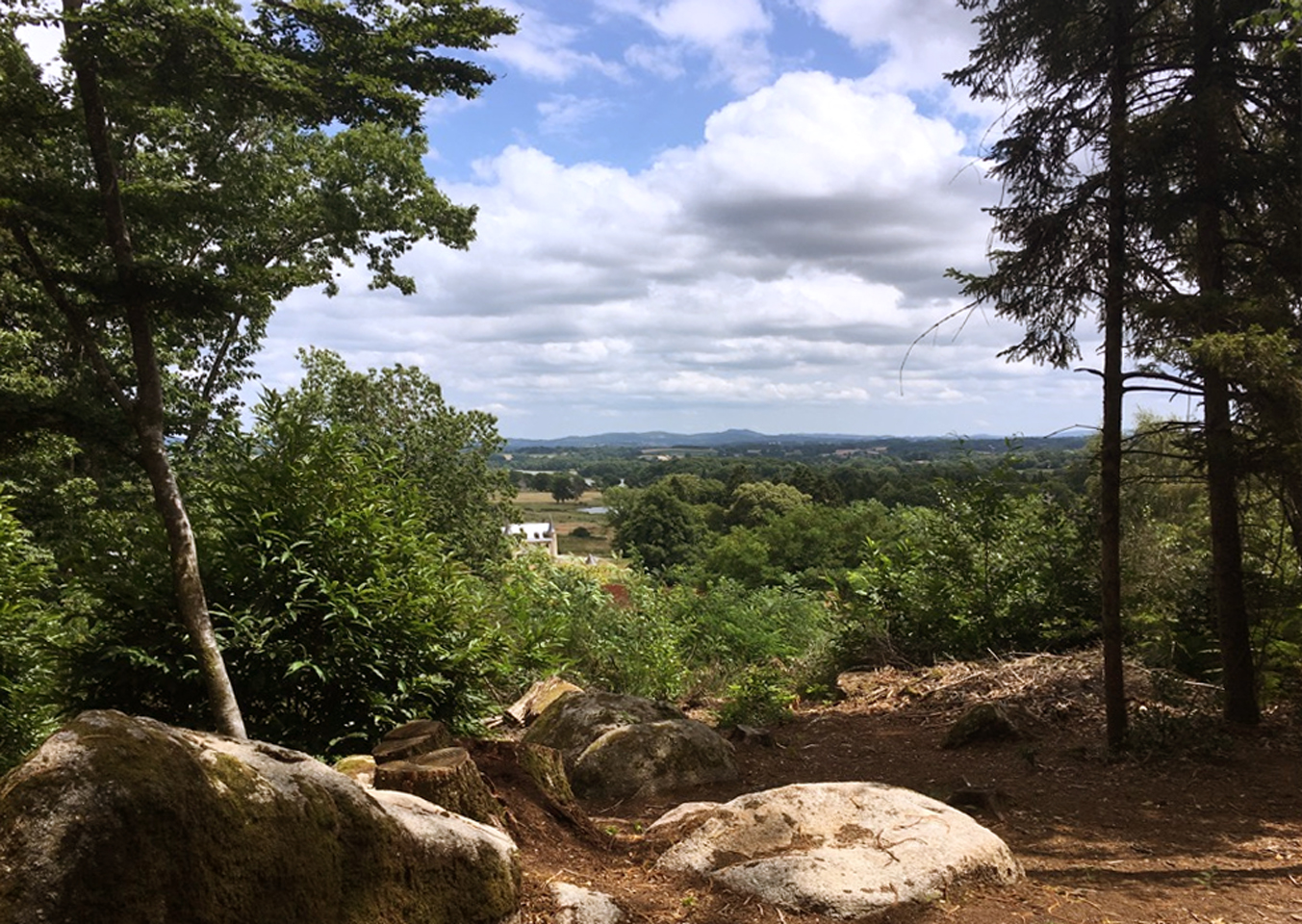 Circuit pédestre n°10 Le bois de la Fôt - rando bambin, Noth - photo 10