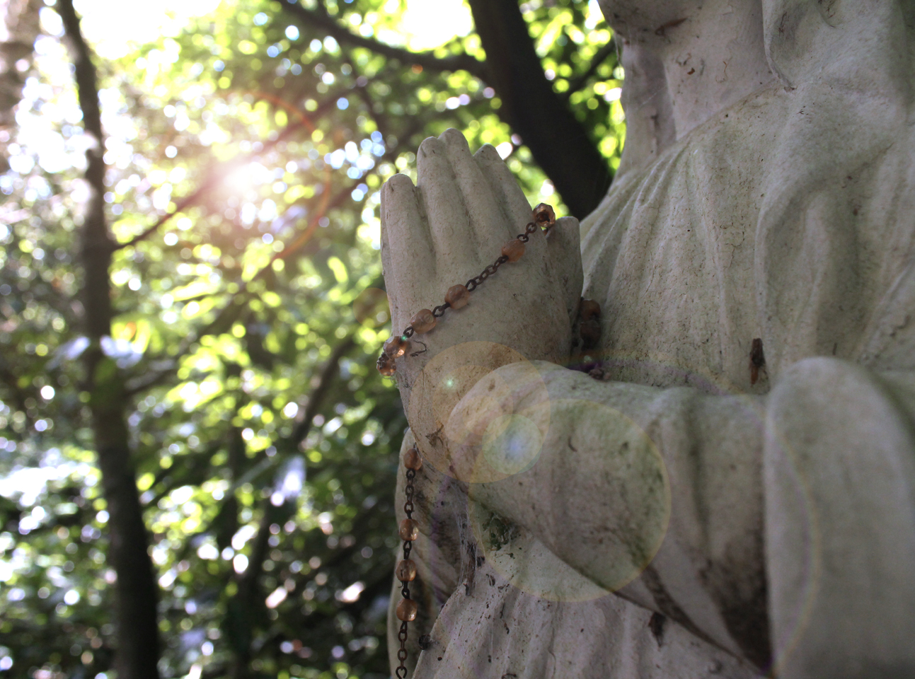 Circuit pédestre n°10 Le bois de la Fôt - rando bambin, Noth - photo 3