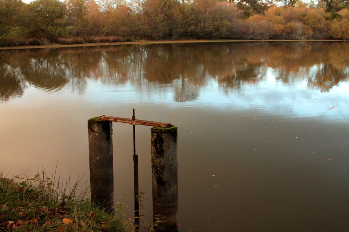 Circuit pédestre n°2 L'étang de la Chaume, Azerables - photo 3