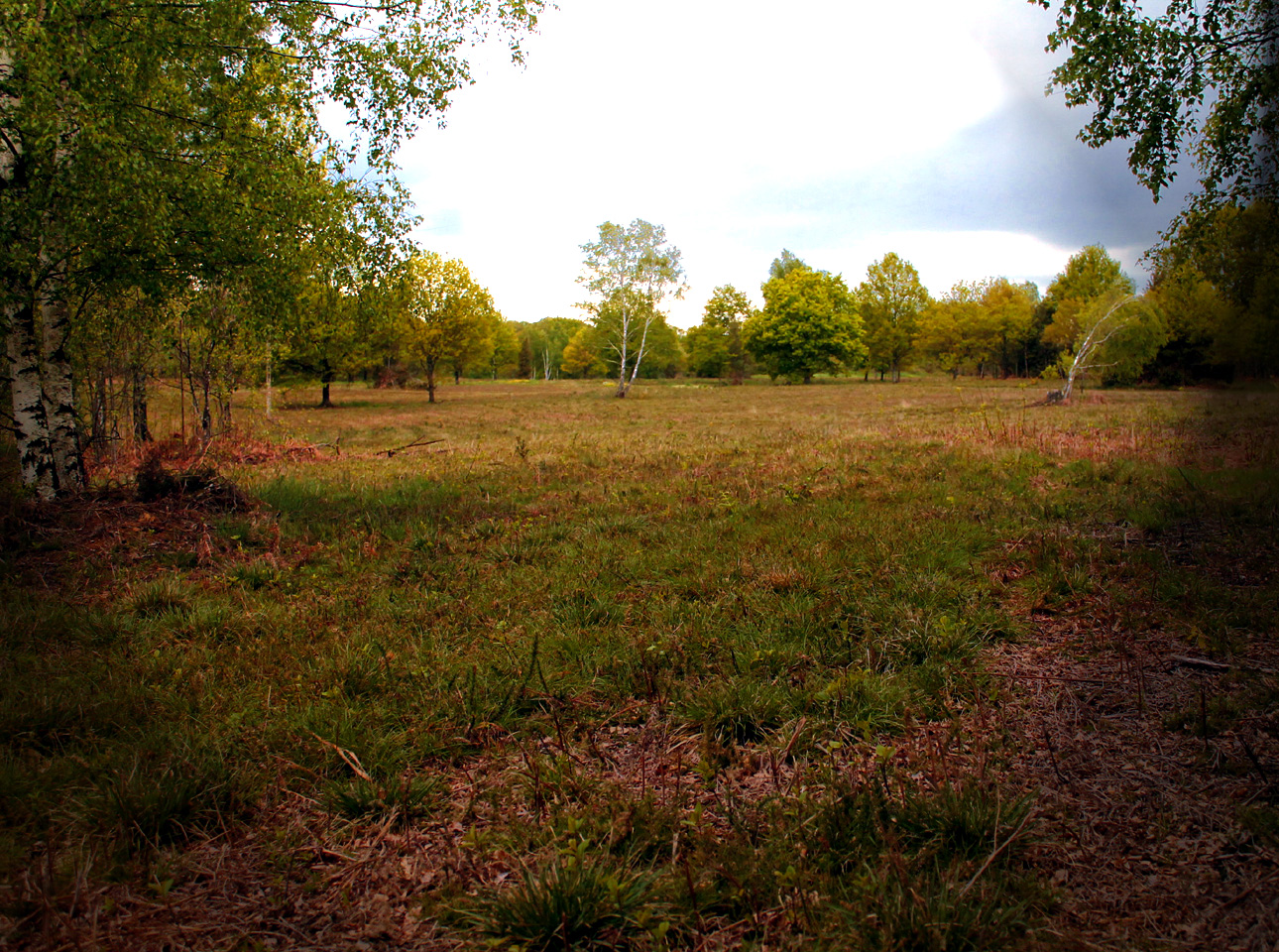 Circuit pédestre n°15 La Saumagne - rando bambin, Saint-Maurice-la-Souterraine - photo 2