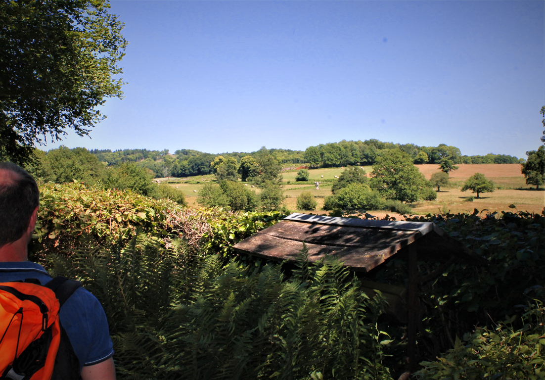 Circuit pédestre n°16 Le dolmen de la Pierre Folle - rando bambin, Saint-Priest-la-Feuille - photo 2