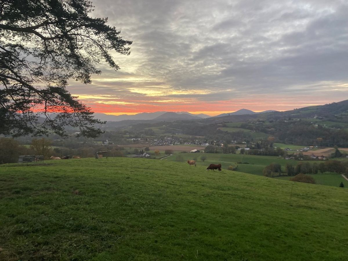 Coig de Lamothe, Aramits - photo 11