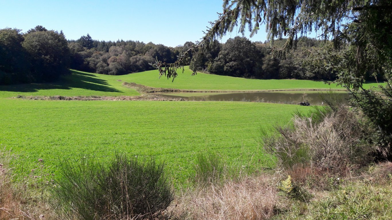 Château de Chaunac, Naves