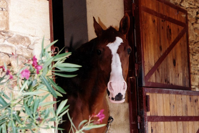 L'étrier de Vitrac - photo 2