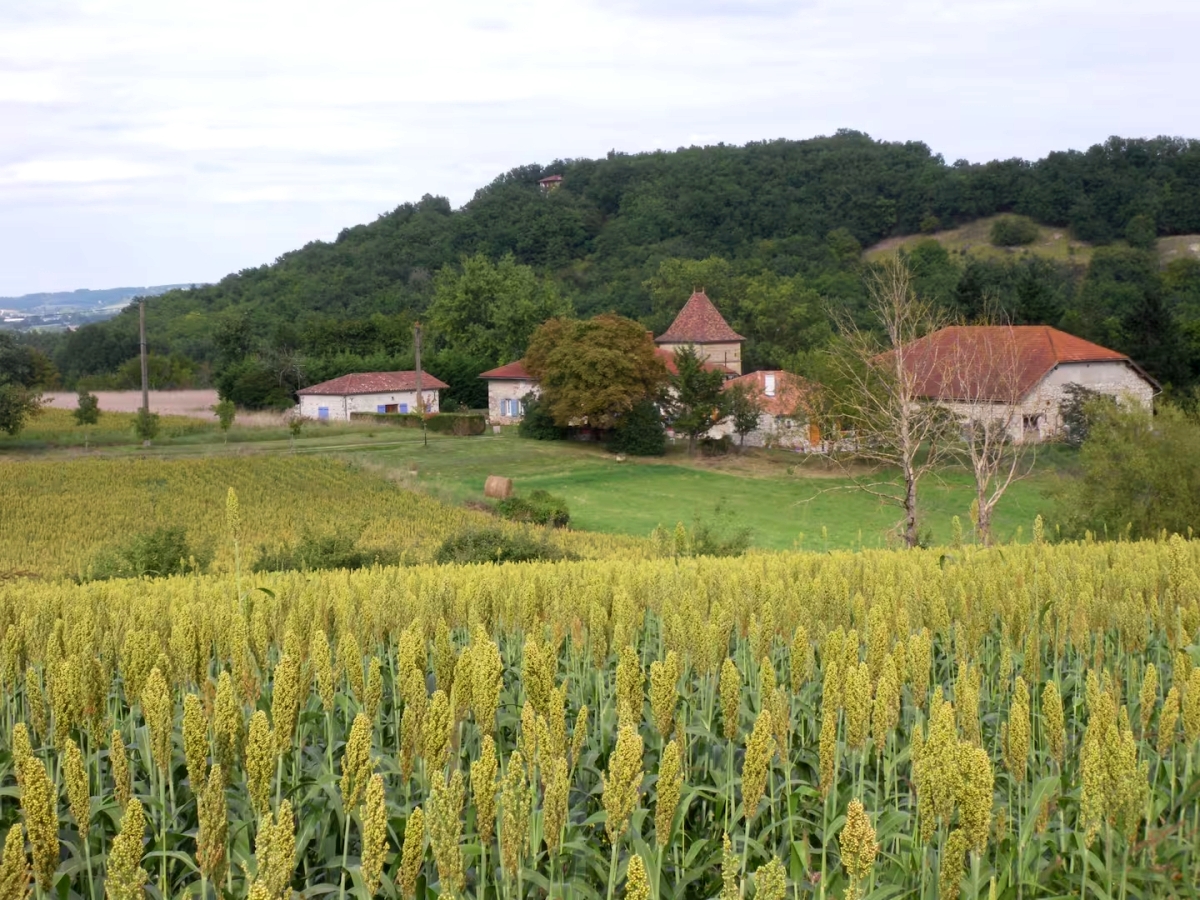 Gîte de Moulet, Moirax - photo 3