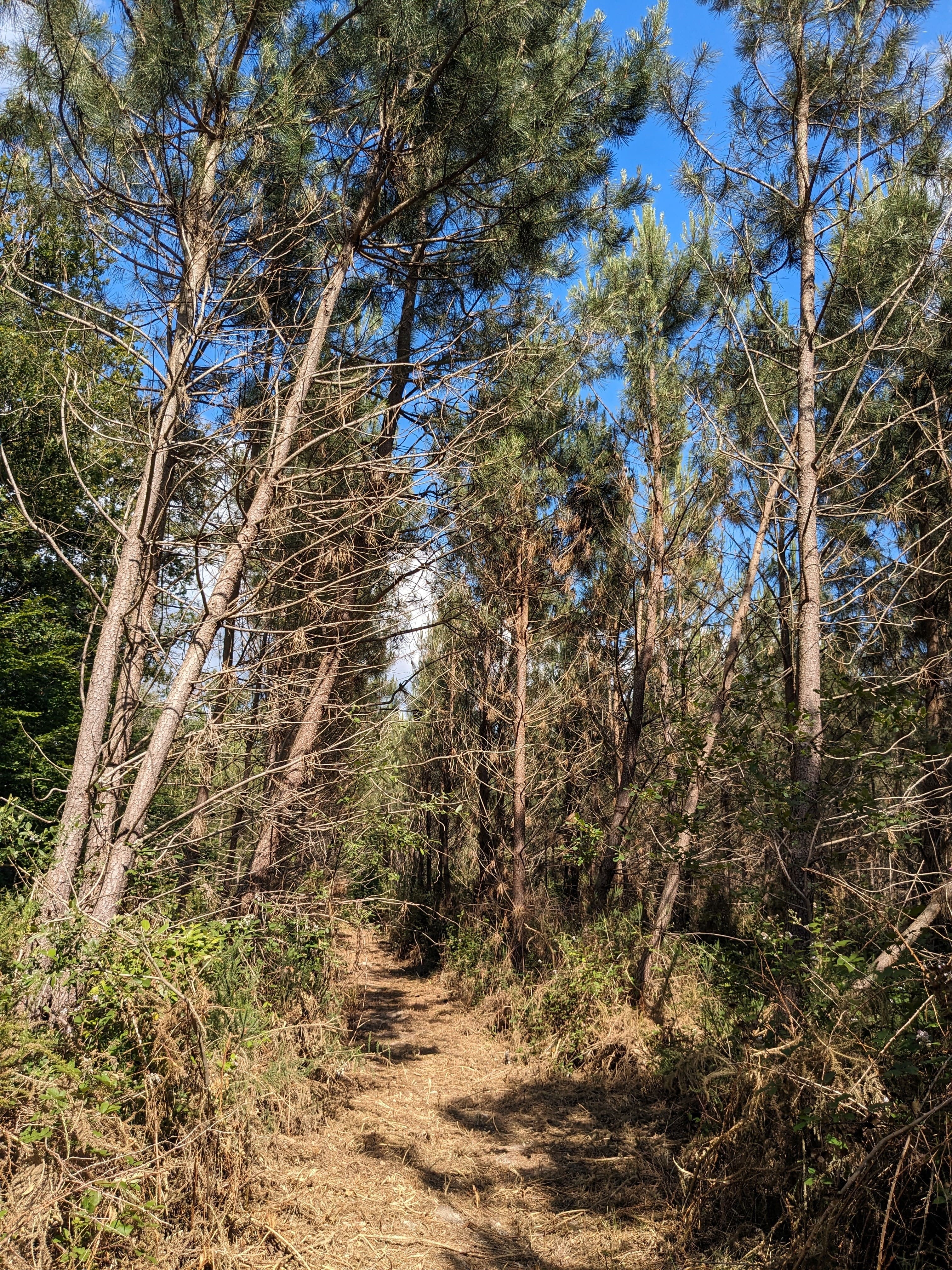 Sentier artistique et pédagogique demain la Double, Le Fieu - photo 6