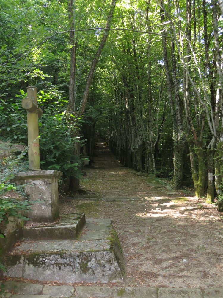 Balades secrètes en Corrèze - découverte de la Tourbière de la Bissière