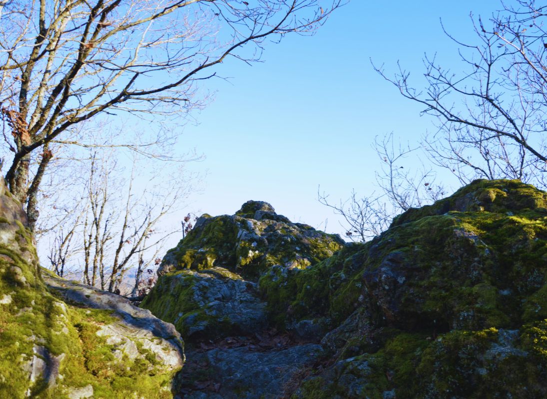 Point de vue - La Pierre Folle, Bussière-Galant - photo 9
