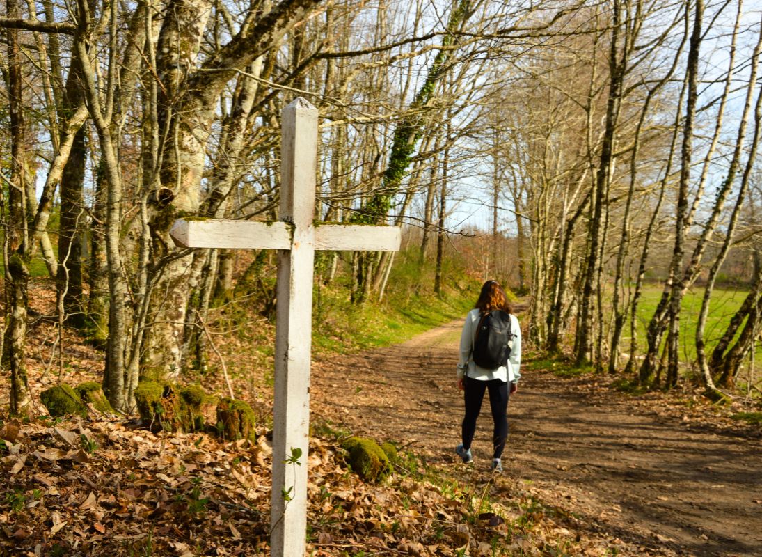 Circuit du dolmen de la Goupillère, Les Cars - photo 9