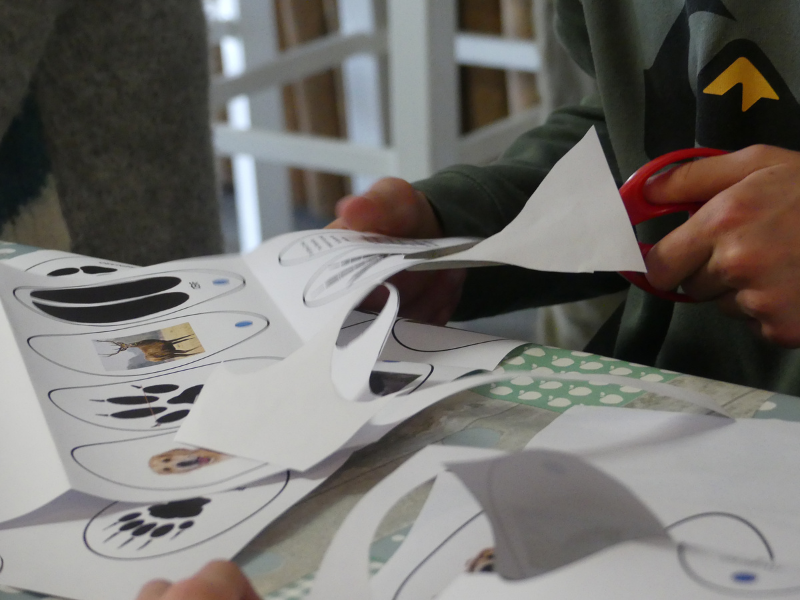 Création d'un empreintoscope à Terres d'Oiseaux, Braud-et-Saint-Louis - photo 2